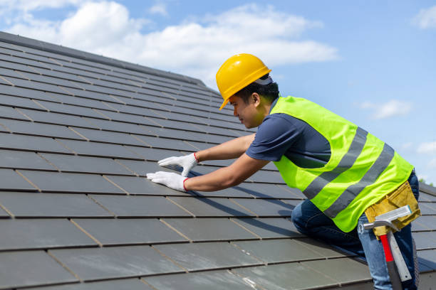 Best Roof Repair Specialists  in Level Plains, AL