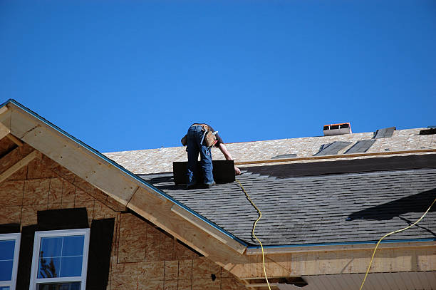 Quick and Trustworthy Emergency Roof Repair Services in Level Plains, AL