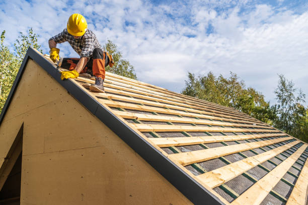 Best Commercial Roofing Services  in Level Plains, AL