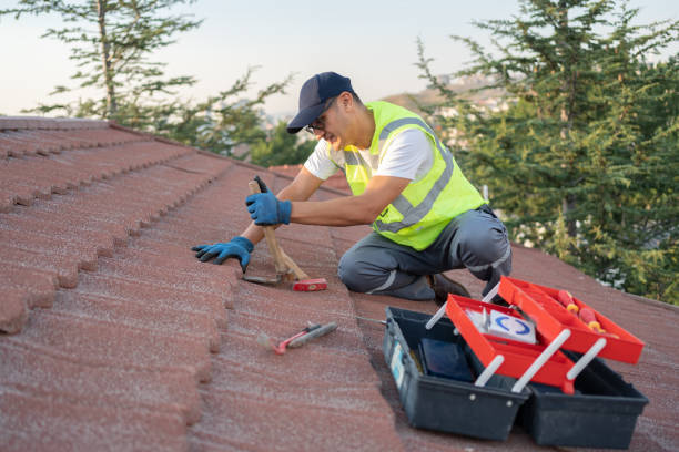 Best Local Roofing Companies  in Level Plains, AL