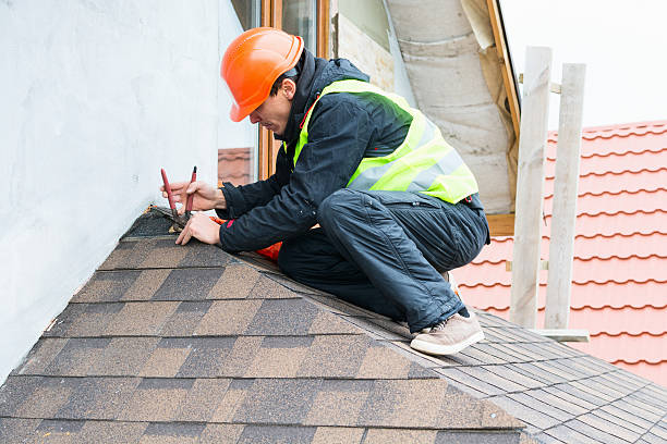 Best Residential Roofing Contractor  in Level Plains, AL