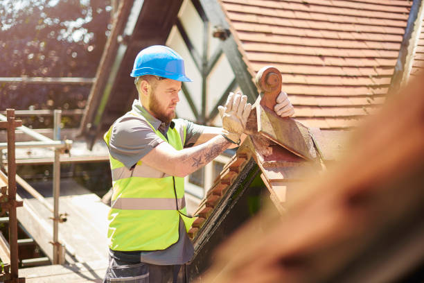 Best Local Roofing Companies  in Level Plains, AL
