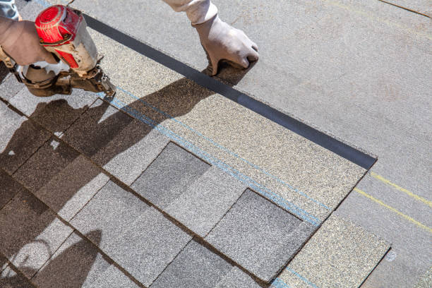 Quick and Trustworthy Emergency Roof Repair Services in Level Plains, AL