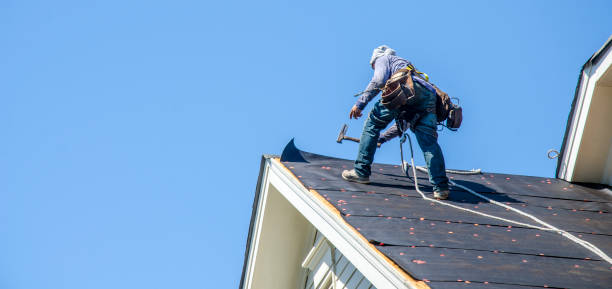 Best New Roof Installation  in Level Plains, AL